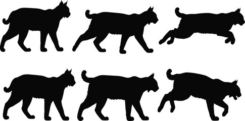 Bobcat silhouette collection, lynx wild cat vector, predatory animal icons, wildlife hunting design elements, forest feline movement, mountain cat silhouettes. © Zakia