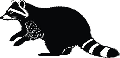 Raccoon silhouette vector illustration, wild animal nocturnal procyon mammal isolated on white background, forest wildlife nature element design for graphic projects. © Zakia