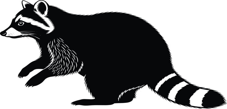 Raccoon silhouette vector illustration, wild animal nocturnal procyon mammal isolated on white background, forest wildlife nature element design for graphic projects.