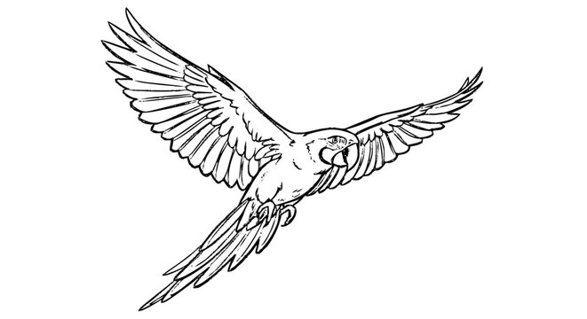 Bird in Flight with Outstretched Wings Illustration.