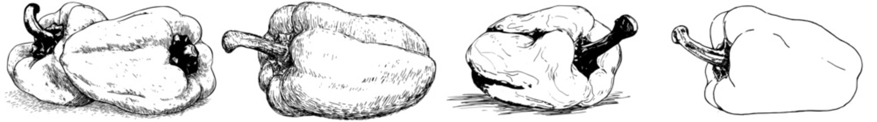 Obraz premium Pepper's Perfection: A Shaky Hand Sketch of a Lumpy Pepper