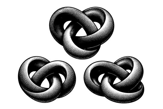 Abstract geometric shape torus knot, a smooth continuous looped form with complex curvature and balanced symmetry shown as the same object
