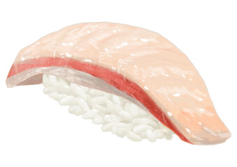 リアルなハマチ・ブリのお寿司一貫のイラスト