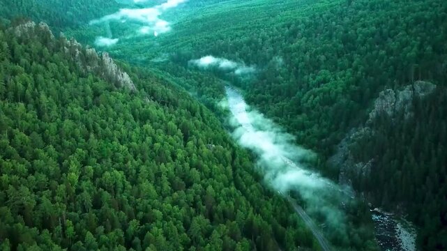 Drone perspective of a landscape featuring a watercourse winding through lush forested terrain, highlighting nature and landforms