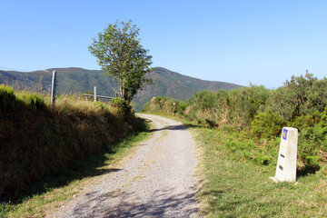 Naklejka premium Pasture Fences Along Camino to Fonfria July 2024 Dirt path