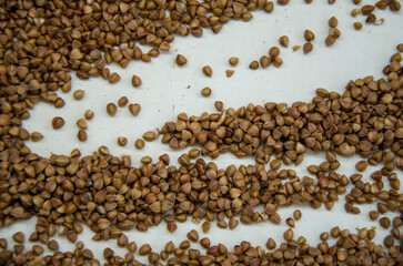 Raw buckwheat grains scattered on white background
