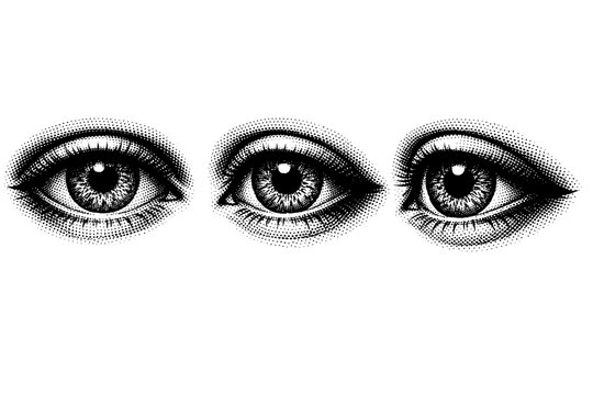 Human eye macro a realistic human eye focusing on iris pupil and eyelids shown in front view slight side view and angled three-quarter view