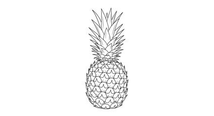 Detailed line drawing of a whole ripe pineapple with its characteristic textured skin and sharp leafy crown.