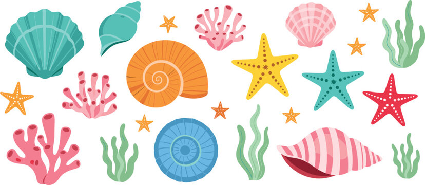Colorful sea shells, coral and starfish set. Cute flat marine elements collection. Summer beach illustration isolated on transparent background.