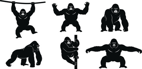 Gorilla silhouette collection, silverback primate vector, wild ape movement icons, jungle animal design elements, powerful monkey set, safari wildlife graphics. © Nowshad