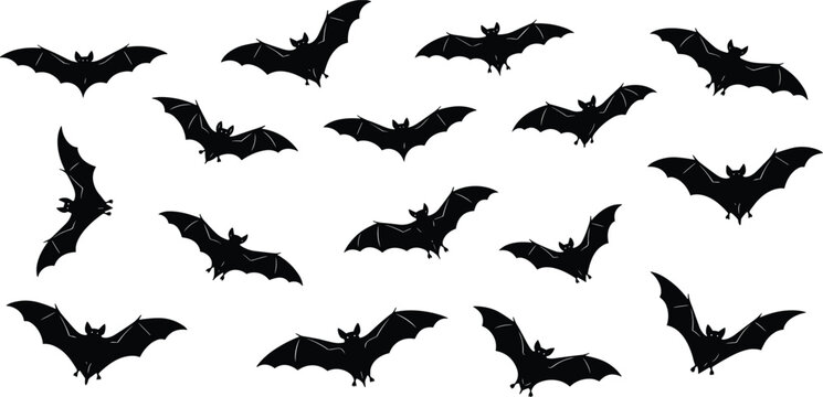 Black bat silhouette vector illustration collection, flying nocturnal animal set isolated on white background, spooky halloween wildlife nature element for design.
