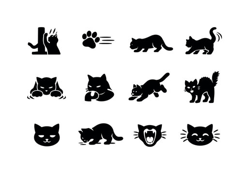 Cat behavior icons. Solid icon set of cat behavior icons: scratching post action, paw batting motion, hunting stalk pose, tail flick warning,