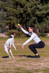 An athletic young woman does squats and balance exercises while playing with her dog using a tennis ball in a sunny park, and the dog jumps to catch the ball.