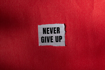 Never Give Up message written on ripped torn paper background. Conceptual Never Give Up symbol. Copy space.