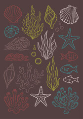 A charming hand-drawn vector collection of marine elements including seashells, starfish, coral, fish, and seaweed, perfect for ocean-themed designs