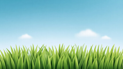 Fototapeta premium Lush green grass under clear blue sky with white clouds
