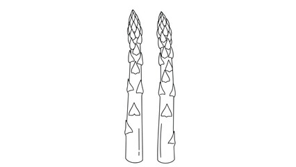 Black and white line drawing of two asparagus spears side by side.
