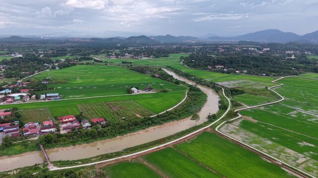 Aerial View Over Labuh Banting Rice Fields and River