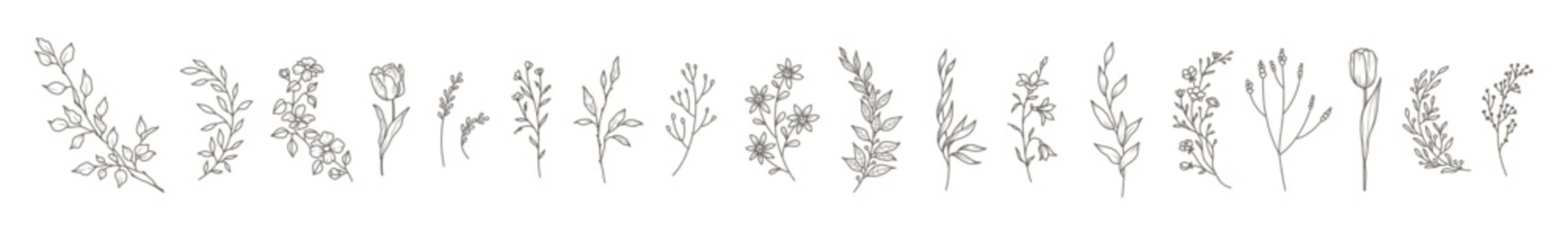 Floral botanical line art set. Trendy elegant thin flowers, branches, leaves, herbs. Vector hand drawn illustration for logo or tattoo, wedding invitation, save the date card 