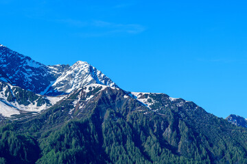 Fototapeta premium Jagged Mont Lachat ridge features lingering snow patches above dense green pine forest, set against a vivid blue sky. Bright sunlight enhances the crisp alpine textures and sharp mountain contours.