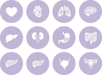 Human Internal Organs Icon Set on Lavender Soft UI Web Design Buttons, Minimalist Anatomy Vector Illustrations for Wellness Apps