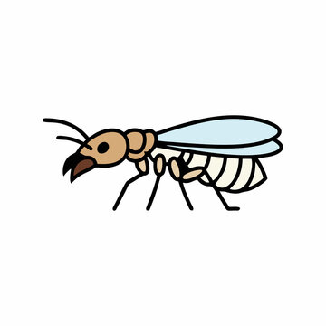 Termite alate flying insect vector illustration isolated on white background