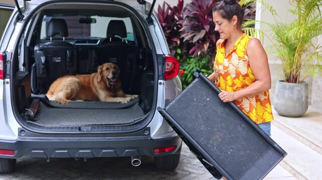 Woman preparing a pet ramp for a golden retriever in a car trunk