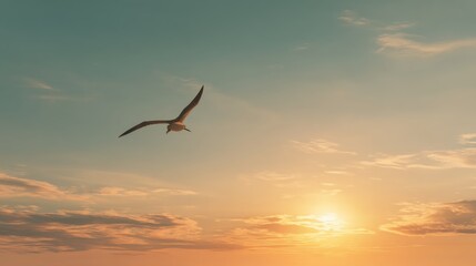 Fototapeta premium Majestic Bird Soaring Across a Beautiful Sky at Sunset with Soft Clouds and Golden Hour Light Enhancing the Peaceful Atmosphere