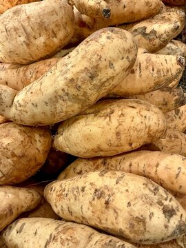 Sweet potato in the market. In Indonesia, sweet potatoes are locally known as ubi jalar or simply ubi and are frequently fried with batter and served as snacks.