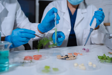 Fototapeta premium Nutrition specialists, exploring innovations in nutrition, psychiatry, and health science research.
