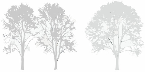 Obraz premium Silhouetted trees against a white background showcasing natural forms