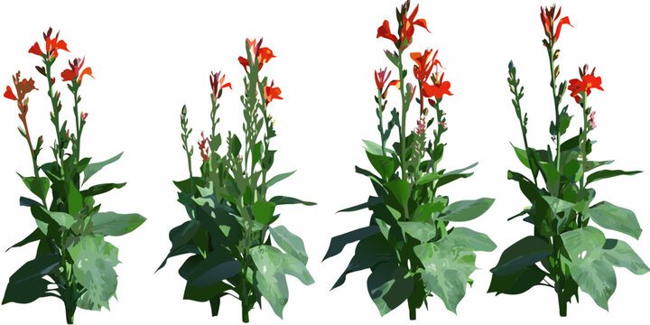 A vibrant collection of red canna lilies with lush green foliage