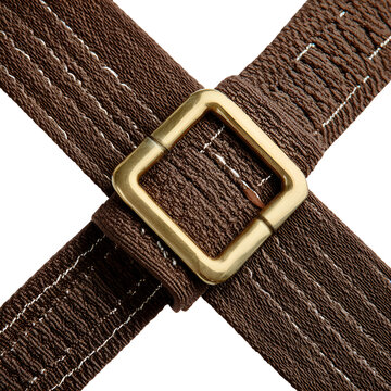 Close up of brown leather straps with a brass buckle on a white background