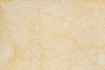 Ultra High Resolution 8K White Paper Texture