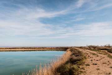 Wide view of calm blue lake with natural reeds in foreground under bright sky. Peaceful rural freshwater landscape reflecting environmental sustainability and open countryside.
