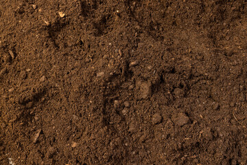 soil mixed with various ingredients for growing seedlings and indoor plants, minerals and vitamins, humus and peat are added to the soil to improve growth and yield