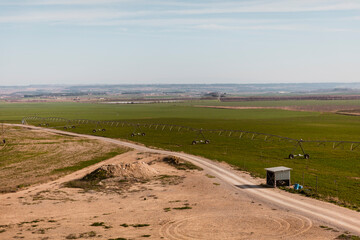 Fototapeta premium Wide agricultural landscape with center pivot irrigation system across green farmland. Modern water management infrastructure supporting crop production and rural economy.