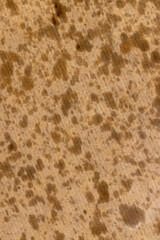 sunflower oil stains on paper after the paper contained crispy potato chips that were deep fried