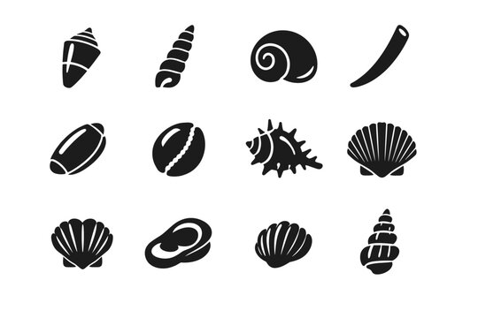 Types of seashells. Solid icon set of Types of seashells: cone shell, auger shell, moon shell, tusk shell, olive shell, cowrie shell, murex shell, ark shell,