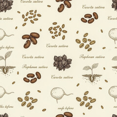 Obraz premium An elegant, repeating background with vintage, hand-drawn botanical illustrations. Features various seeds, sprouts, and vegetables with script text. Vector illustration