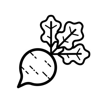 Beetroot -  line vector icon