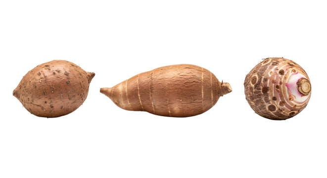 Three brown root vegetables on a white background isolated on transparent background