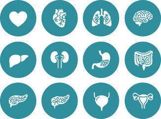 Anatomy of Well-being Icon Set, Teal Tech UI Buttons, Minimalist Human Internal Organs Vector for Holistic Health Web Design