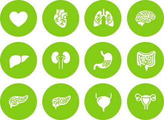 Anatomy of Well-being Icon Set, Natural Olive UI Buttons, Minimalist Human Internal Organs Vector for Holistic Health Web Design