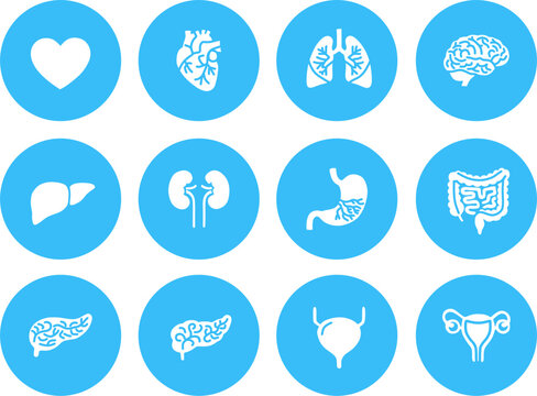 Set of Neon Friendly Blue Human Anatomy Icon Collection, Minimalist Vector Symbols for Future Tech Medical UI and Education