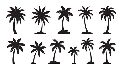 Fototapeta premium A variety of black silhouette vector illustrations featuring palm trees in different shapes and sizes, perfect for summer, travel, and tropical destination designs.