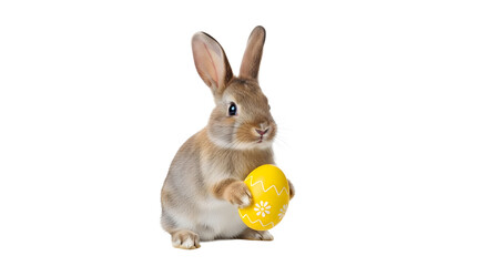 Fototapeta premium A cute brown rabbit holding a yellow Easter egg on transparent background