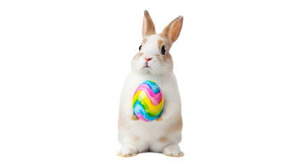Fototapeta premium A cute white and brown rabbit holding a colorful Easter egg on transparent background