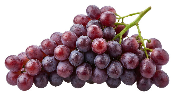 Bunch of fresh red grapes with water droplets and green stem on grey background