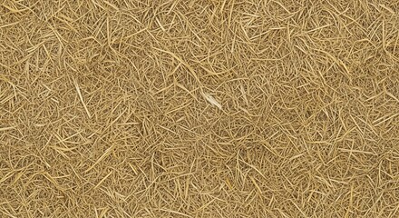 High-angle, full-frame background texture of dry golden straw or hay.